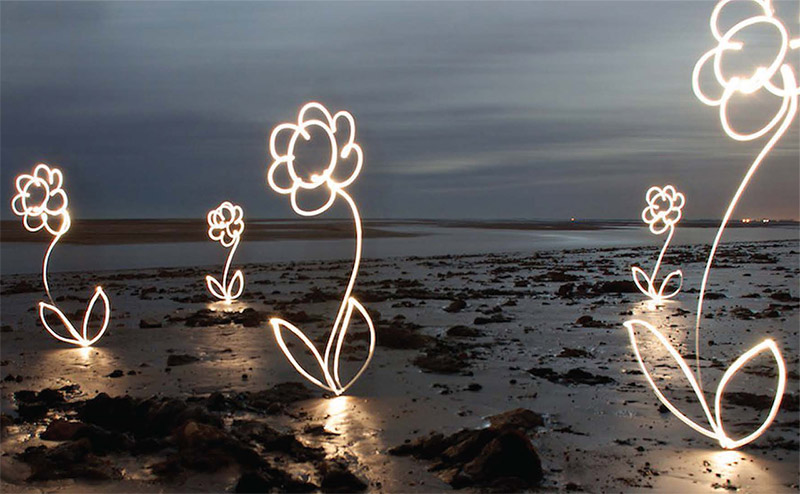 A beach at night time, with five big flowers standing up